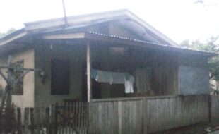 Foreclosed Properties Philippines Database 6 2428143 pic001