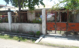 2430757 pic001