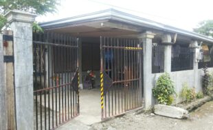 2440485 pic001