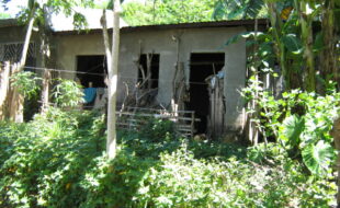 2440858 pic001