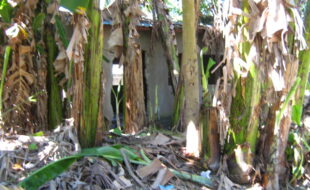 Foreclosed Properties Philippines Database 3 2440912 pic001