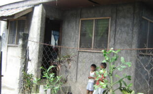 2441033 pic001