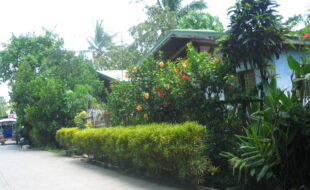 2441097 pic001