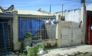 2441373 pic001