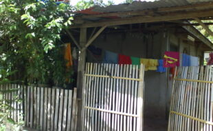 2448718 pic001