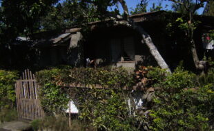 DIGITAL CAMERA