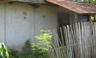 2457519 pic001