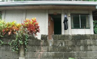 2460229 pic001