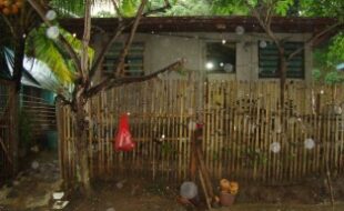 2460282 pic001