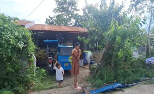 2462528 pic001