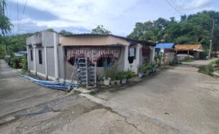 Foreclosed Properties Philippines Database 22 2469696 pic001