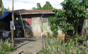 2469861 pic001