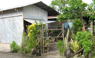 Foreclosed Properties Philippines Database 17 2469886 pic001