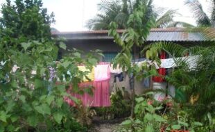 Foreclosed Properties Philippines Database 2 2469901 pic001