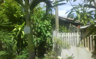 2471501 pic001