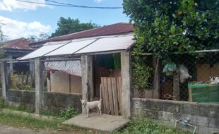 Foreclosed Properties Philippines Database 26 1 c b2 05002d0c9465e2981f21040c301cc 91b1a6 862180 7ad18b 1f3196 31e1a1 2851ac 3d71b7 8771c2 9e21cc c561cc cce1cc 906