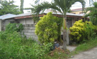 2483048 pic001