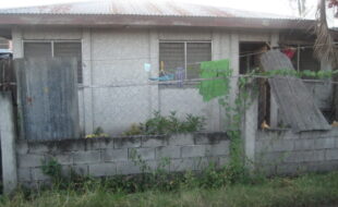 2484205 pic001