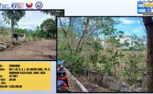 Foreclosed Properties Philippines Database 4 250041002
