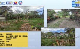 Foreclosed Properties Philippines Database 36 250283139