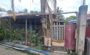 Foreclosed Properties Philippines Database 21 2503043 pic001