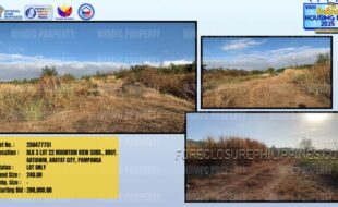 Foreclosed Properties Philippines Database 30 250477751