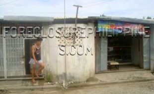 2510201 pic001