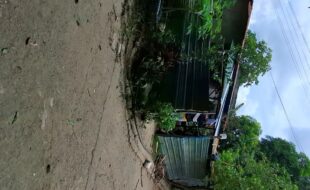 2511859 pic001