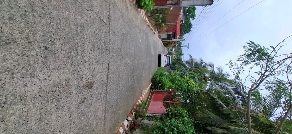 2517015 pic002 rotated