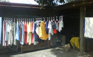 2521247 pic001
