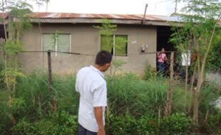 2521326 pic001