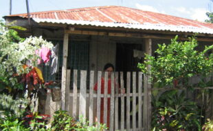 2522586 pic001
