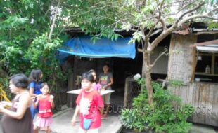 Foreclosed Properties Philippines Database 11 2523743 pic001