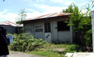 2528566 pic001