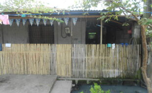 2528613 pic001