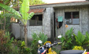 2529042 pic001