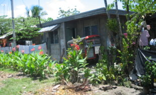 2529153 pic001