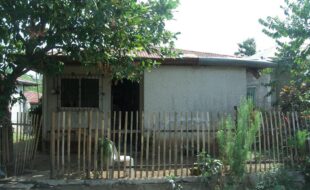 2530428 pic001