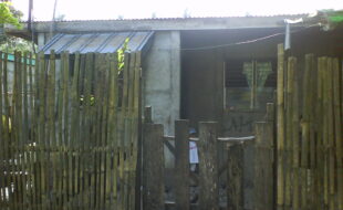 2532838 pic001
