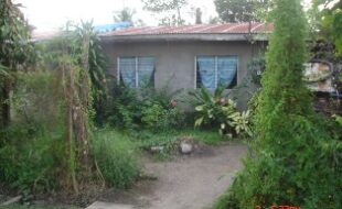 Foreclosed Properties Philippines Database 4 2533274 pic001
