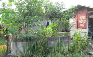 Foreclosed Properties Philippines Database 29 2533281 pic001