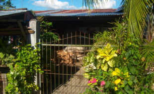 Foreclosed Properties Philippines Database 19 ยย ยฆยฌยฒยธยพรรรรรรขรจรฎ