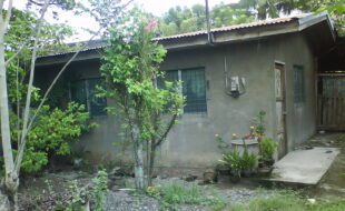 2535201 pic001