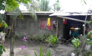 2535258 pic001