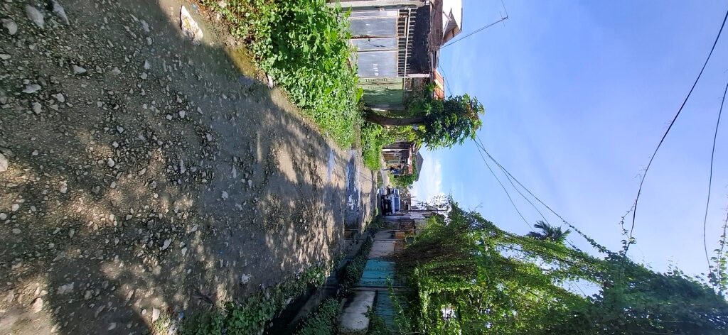 2535494 pic002 rotated