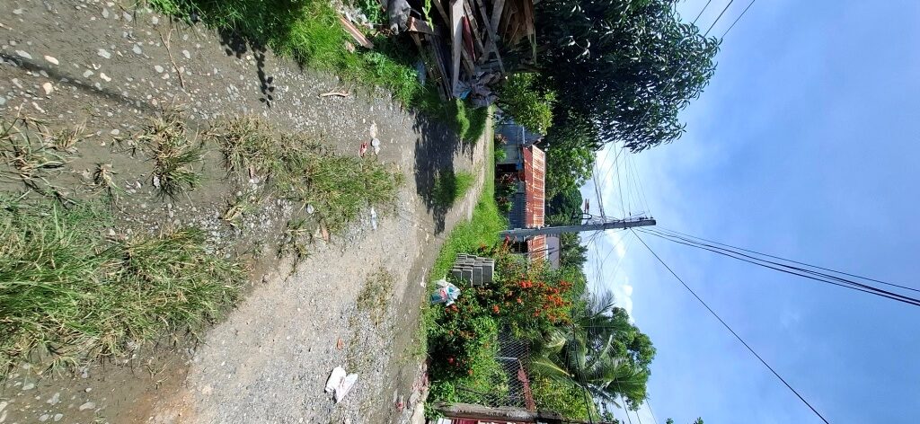 2540876 pic002 rotated