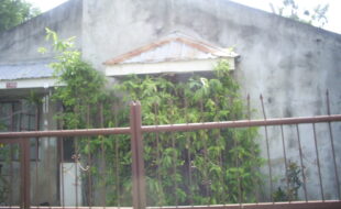 DIGITAL CAMERA