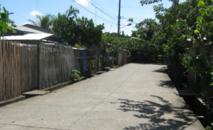 2544249 pic001