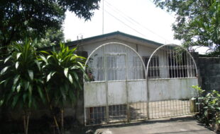 GEDSC DIGITAL CAMERA