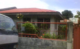2562507 pic001
